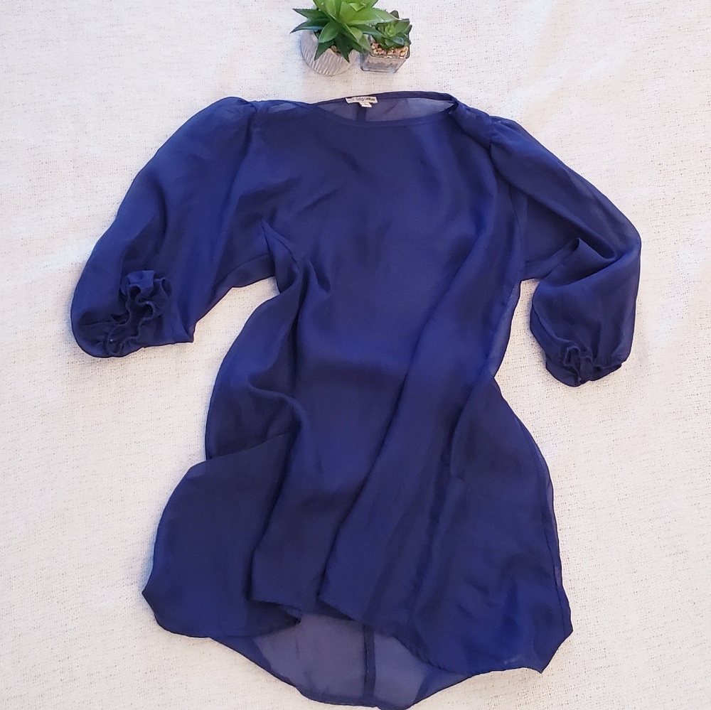 Lily White Sheer Blue Top